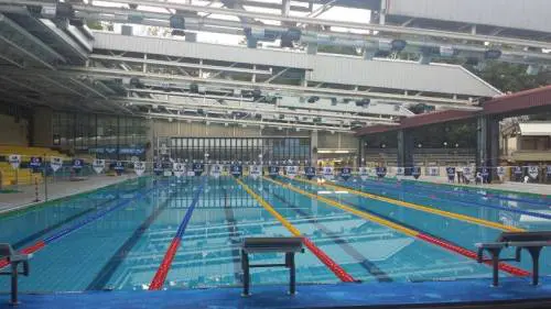 Alla piscina di Bellariva i Campionati Regionali Estivi Categoria